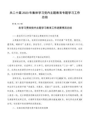 共二十篇2023年集体学习党内主题教育专题学习工作总结.docx