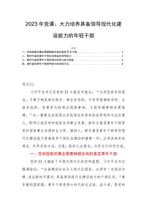 2023年党课：大力培养具备领导现代化建设能力的年轻干部.docx