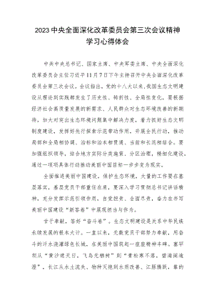 2023中央全面深化改革委员会第三次会议精神学习心得体会2篇.docx