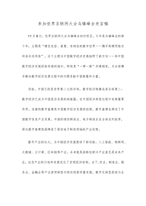 参加世界互联网大会乌镇峰会发言稿.docx