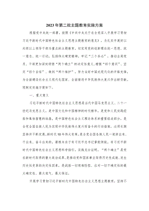 2023年第二批主题教育实施方案.docx