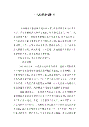 个人检视剖析材料 .docx