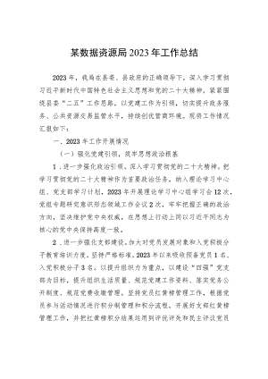 某数据资源局2023年工作总结.docx
