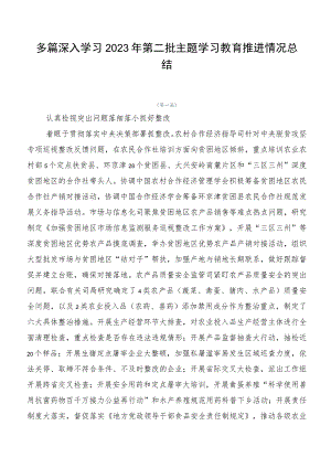 多篇深入学习2023年第二批主题学习教育推进情况总结.docx