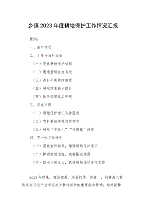 乡镇2023年度耕地保护工作情况汇报.docx