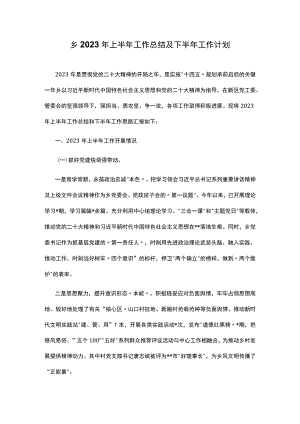 乡2023年上半年工作总结及下半年工作计划.docx