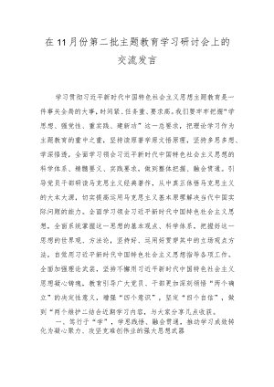 在11月份第二批主题教育学习研讨会上的交流发言.docx