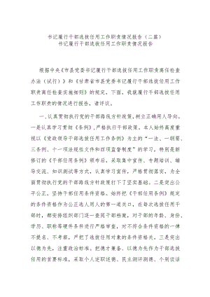 书记履行干部选拔任用工作职责情况报告(二篇).docx