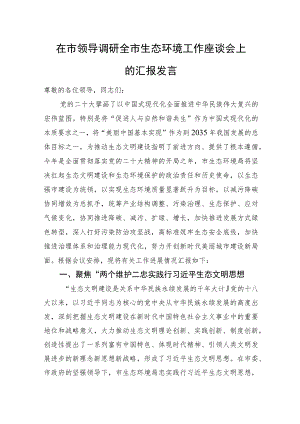 在市领导调研全市生态环境工作座谈会上的汇报发言.docx