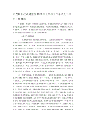 市发展和改革局党组2023年上半年工作总结及下半年工作打算.docx