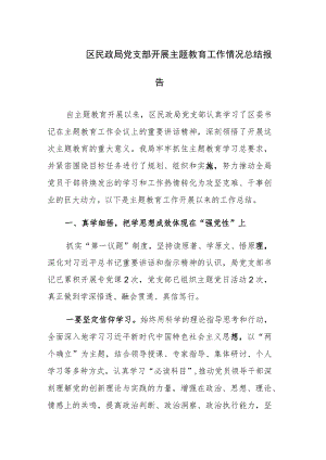 区民政局党支部开展主题教育工作情况总结报告范文.docx