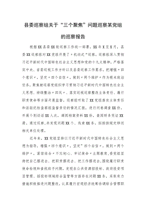 县委巡察组关于“三个聚焦”问题巡察某党组的巡察报告.docx