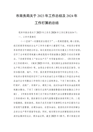 市商务局关于2023年工作总结及2024年工作打算的总结.docx