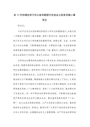 在11月份理论学习中心组专题研讨交流会上的发言稿2篇范文.docx