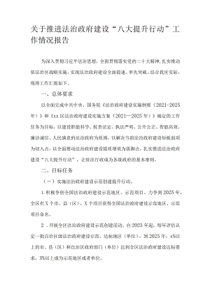 关于推进法治政府建设“八大提升行动”工作情况报告.docx