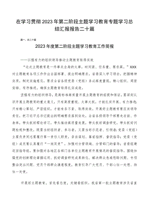 在学习贯彻2023年第二阶段主题学习教育专题学习总结汇报报告二十篇.docx
