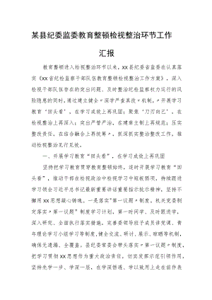 某县纪委监委教育整顿检视整治环节工作汇报.docx