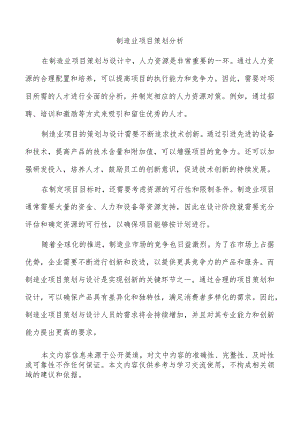 制造业项目策划分析.docx