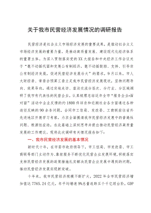 市关于民营经济发展情况的调研报告.docx
