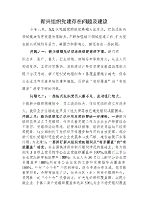 新兴组织党建存在问题及建议.docx