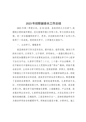 2023年挂职副县长工作总结.docx