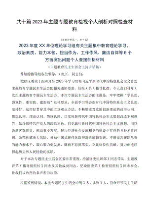 共十篇2023年主题专题教育检视个人剖析对照检查材料.docx