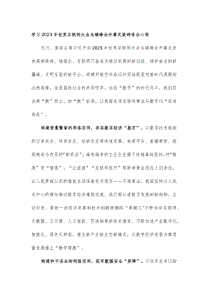 学习2023年世界互联网大会乌镇峰会开幕式致辞体会心得.docx