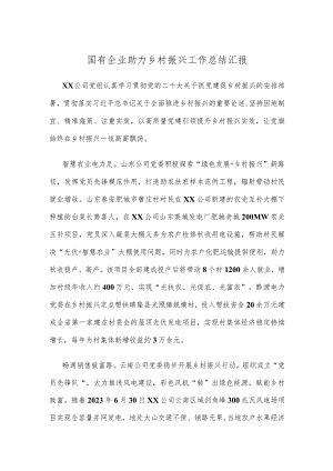 国有企业助力乡村振兴工作总结汇报.docx