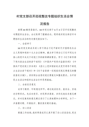 村党支部召开巡视整改专题组织生活会情况报告.docx