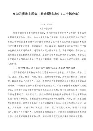 在学习贯彻主题集中教育研讨材料（二十篇合集）.docx