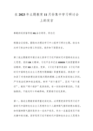 在2023年主题教育11月份集中学习研讨会上的发言.docx