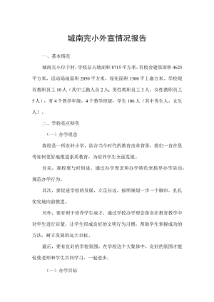 城南完小外宣情况报告.docx