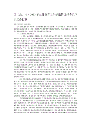 区（县、市）2023年主题教育工作推进情况报告及下步工作打算.docx