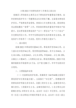 乡镇2023年度耕地保护工作情况汇报总结.docx