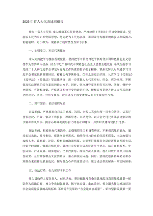 2023年省人大代表述职报告.docx