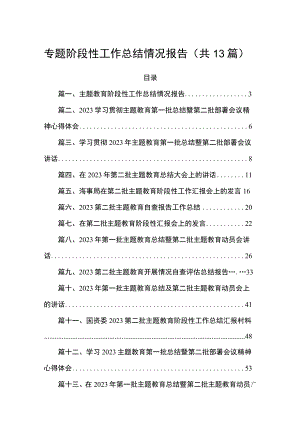 专题阶段性工作总结情况报告（共13篇）.docx