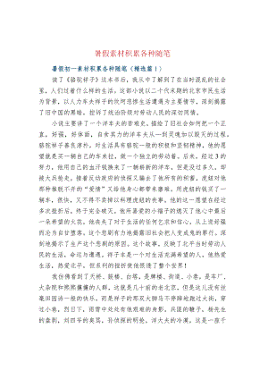 暑假素材积累各种随笔.docx