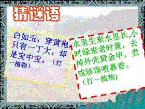 第2课星罗棋布的氏族聚落课件.ppt
