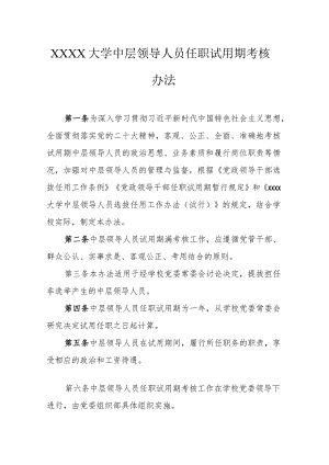 大学中层领导人员任职试用期考核办法.docx