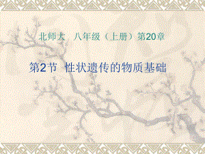 第2节性状遗传的物质基础名师编辑PPT课件.ppt