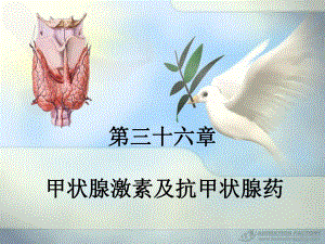 第36章甲状腺药物.ppt