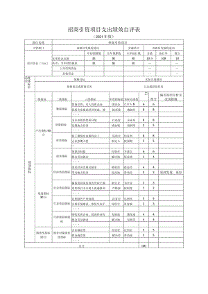 招商引资项目支出绩效自评表.docx