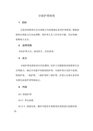 分级护理制度.docx