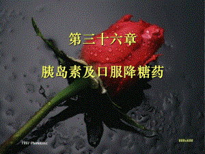 第36章胰岛素及口服降血糖药.ppt