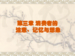 第3章消费者的注意、记忆与想象.ppt