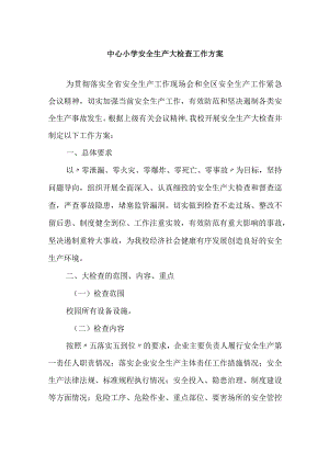 中心小学安全生产大检查工作方案.docx