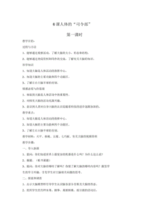 第6课 人体的“司令部”（教案）.docx