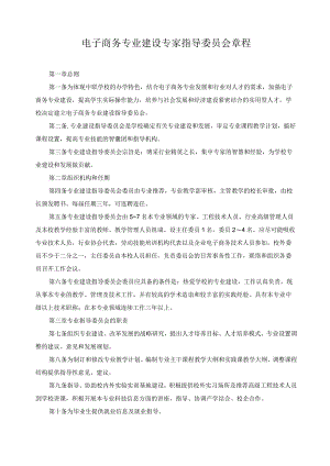 电子商务专业建设专家指导委员会章程.docx