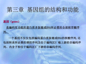 第3章基因组.ppt