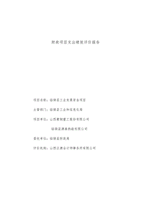 财政项目支出绩效评价报告.docx